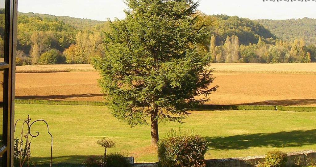 Chateau La Fleunie - Hotel Et Restaurant Condat-sur-Vezere Zimmer foto